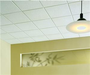 Office cooperation project