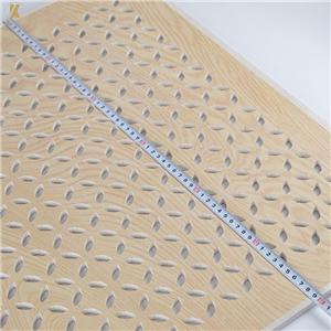 Acoustic Gypsum Board